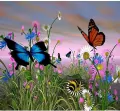 Mozaika diamentowa 5D - Motyle 40x30cm - tantis.pl
