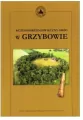 Wczesnośredniowieczny gród w Grzybowie - tantis.pl