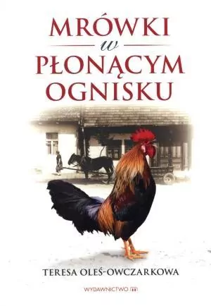 Mrówki w płonącym ognisku - tantis.pl