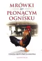 Mrówki w płonącym ognisku - tantis.pl