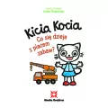 Co się dzieje z placem zabaw? Kicia Kocia - tantis.pl