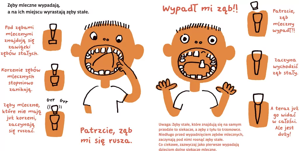 Zęby. Moje ciało - tantis.pl