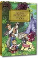 Przygody Hucka z oprac. okleina GREG - tantis.pl