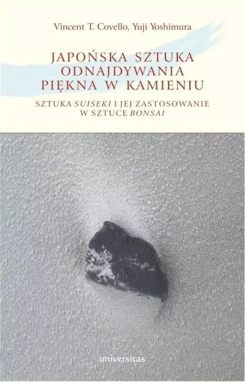 Japońska sztuka odnajdywania piękna w kamieniu. Sztuka suiseki i jej zastosowanie w sztuce bonsai - tantis.pl