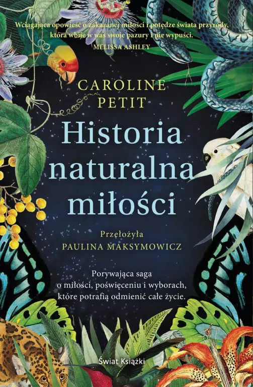 Widok ponad dachami - tantis.pl