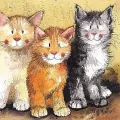 Karnet AC323 Koty Rodger, Dodger i Tinkerbell - tantis.pl