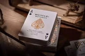 Bicycle. Karty Botannica - tantis.pl