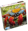 Puzzle 200 Colourful Crab - tantis.pl