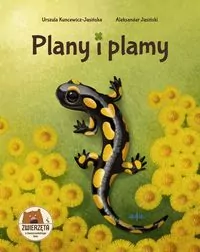 Plany i plamy - tantis.pl