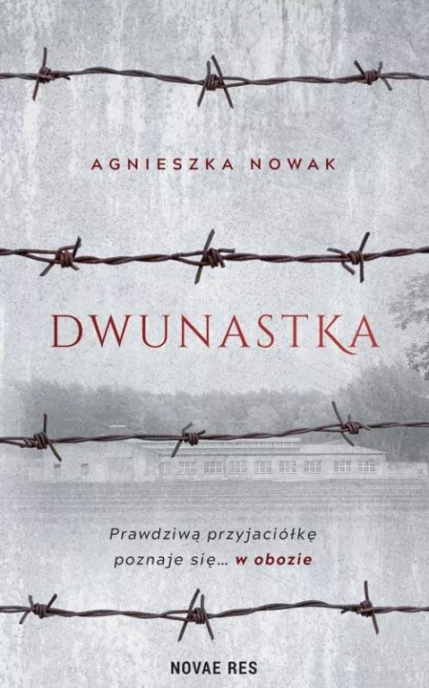Dwunastka - tantis.pl