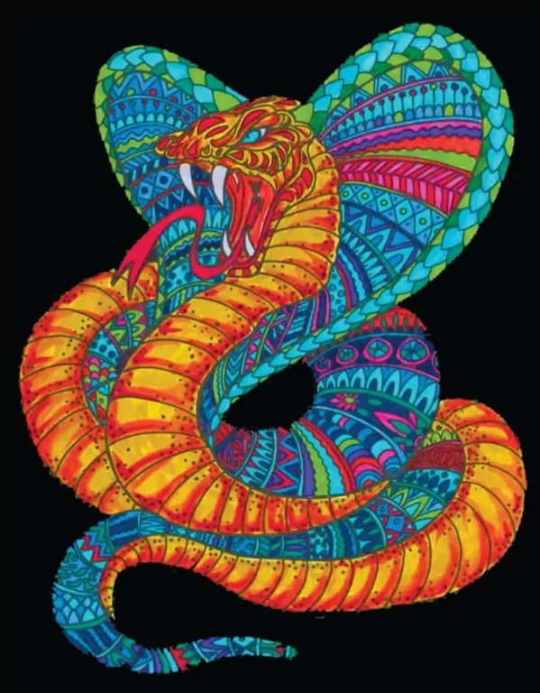 Kolorowanka welwetowa 47x35cm Kobra - tantis.pl