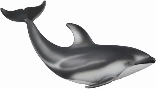 Delfin Pacyfic - rozmiar M - tantis.pl
