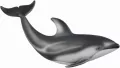 Delfin Pacyfic - rozmiar M - tantis.pl