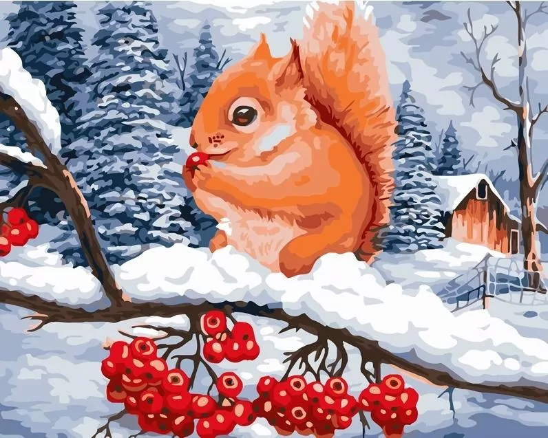 Malowanie po numerach 40x50 Wiewiórka - tantis.pl