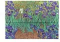 Teczka Paperblanks. Van Gogh`s Irises - tantis.pl