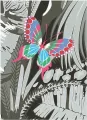 Karnet B6 z kopertą Butterfly - tantis.pl