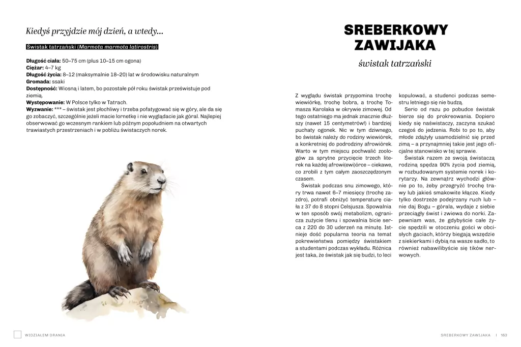 Głupie zwierzęta Polski i jak je znaleźć. Przewodnik świadomego obserwatora - tantis.pl