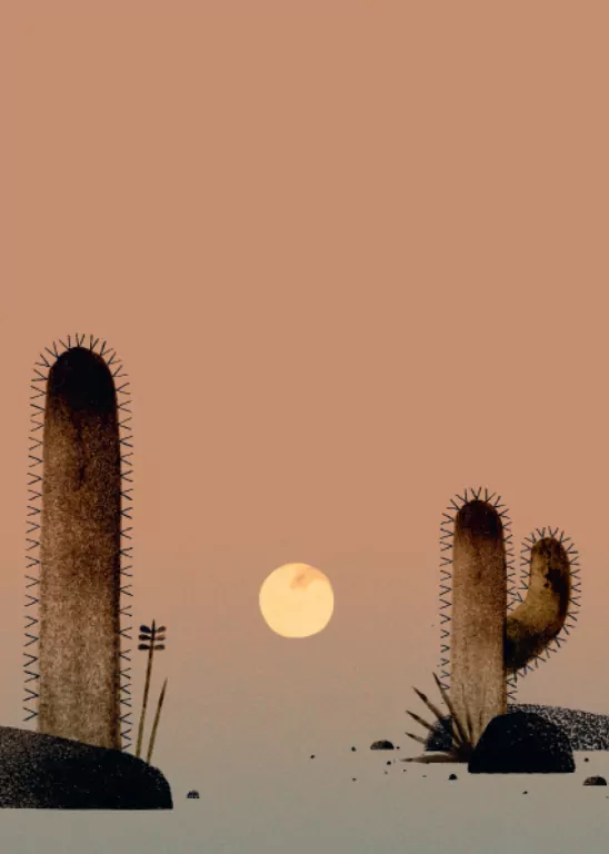 O! Kapelusz! - tantis.pl