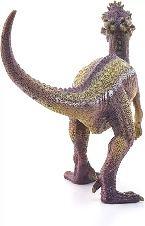 Dracorex 15014 - tantis.pl