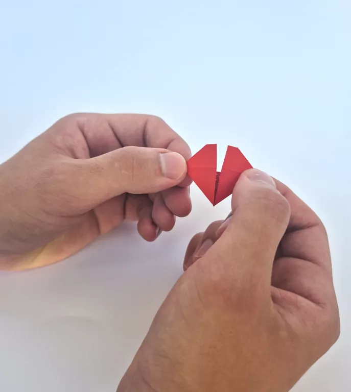 Origami 3D papuga/parrot - tantis.pl