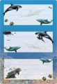 Naklejki szkolne - Delfiny 6szt - tantis.pl