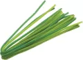 Drucik oplatany 50cm mix zielony 10szt - tantis.pl