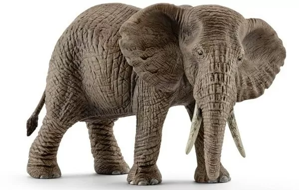 Słonica afrykańska Wild Life 14761 - tantis.pl