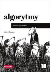 Algorytmy. Ilustrowany przewodnik - tantis.pl
