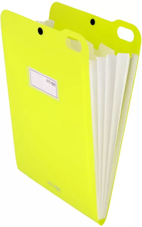 Teczka Vfile A4 z 5 przekładk. neon zielona STRIGO - tantis.pl