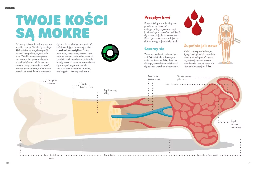 Fuuj, ohyda! - tantis.pl