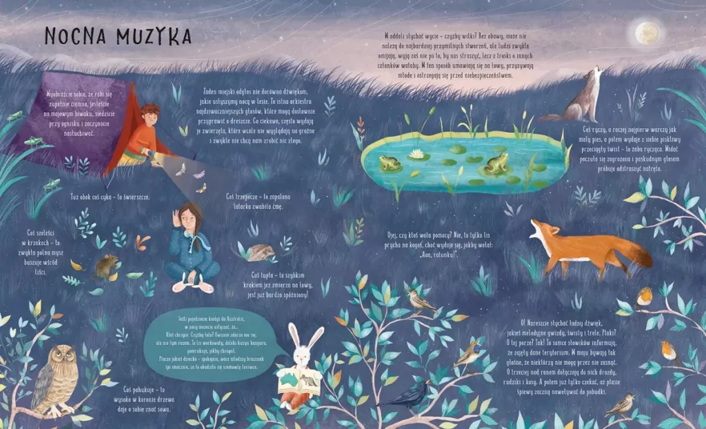 Po ciemku, czyli co się dzieje w nocy - tantis.pl