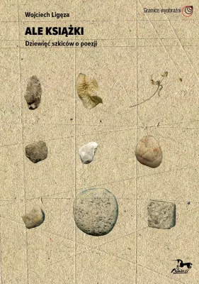 Ale książki. Dziewięć szkiców o poezji