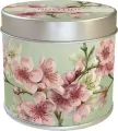 Zapachowa świeczka 230 kwiat wiśni - zapach różan - tantis.pl
