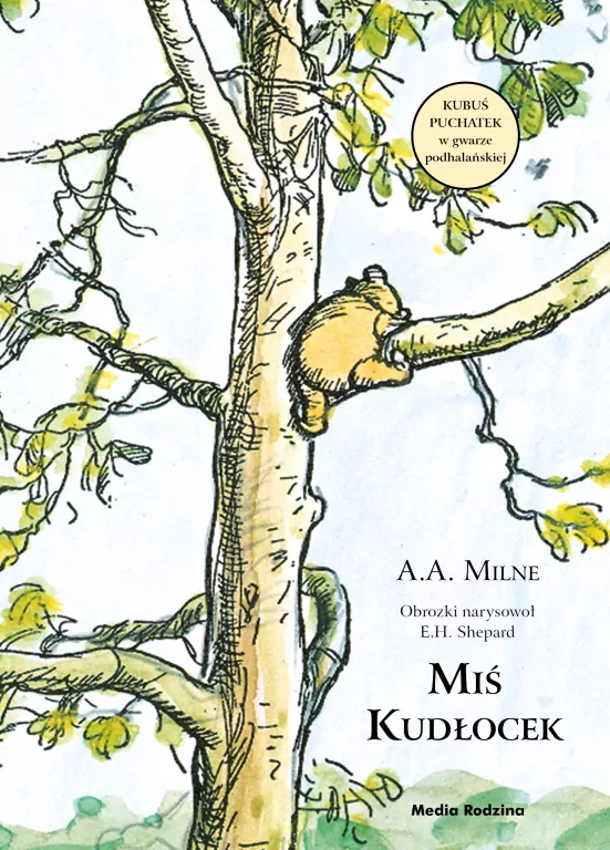 Miś Kudłocek - tantis.pl