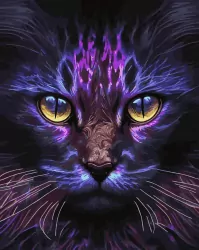 Malowanie po numerach czarne płótno - Magiczny Kot