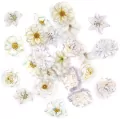 Naklejki PET kwiaty moonlight white 30szt - tantis.pl
