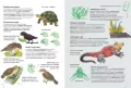 Niezwykłe miejsca na Ziemi. Atlas bioróżnorodności - tantis.pl