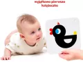 CzuCzu. Duże karty kontrastowe. 0+, 3+ - tantis.pl