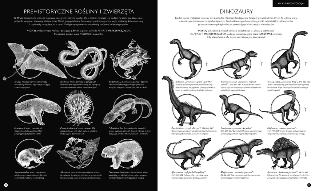 Gabinet dinozaurów - tantis.pl