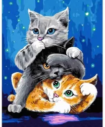 Malowanie po numerach - Kotki 40x50cm