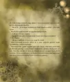 Gwiazdka krasnoludków - tantis.pl