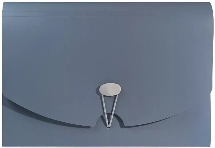 Teczka harmonijkowa A4 PP grafit morandi - tantis.pl