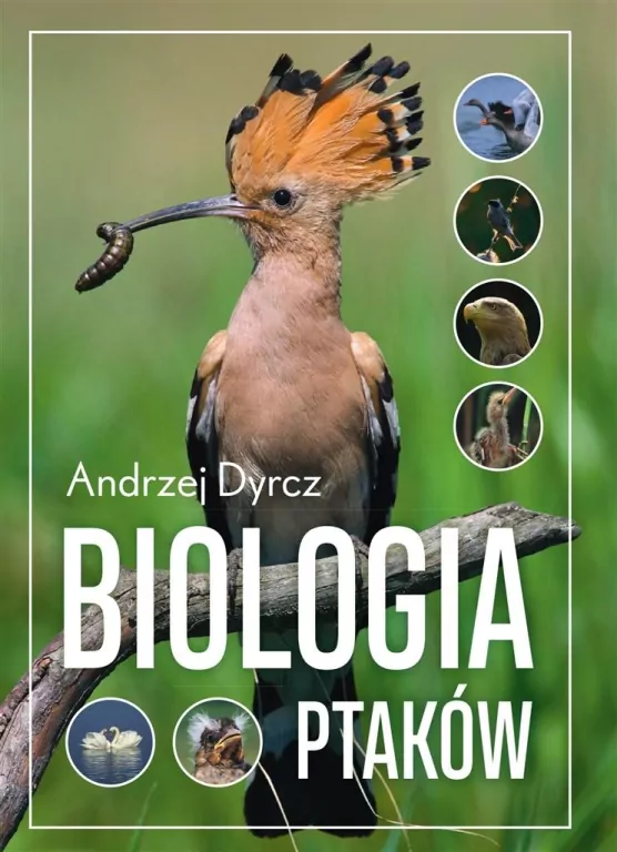 Biologia ptaków - tantis.pl
