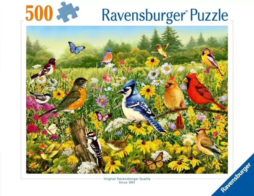 Puzzle 2D: Ptaki 500el - tantis.pl