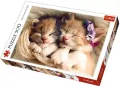 Puzzle 500. Śpiące kotki. 37271 - tantis.pl