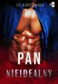 Pan nieidealny - tantis.pl