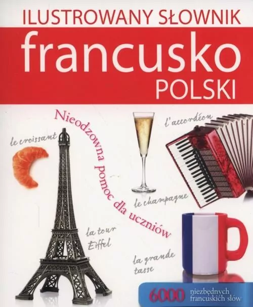 Ilustrowany słownik francusko-polski w.2017 - tantis.pl