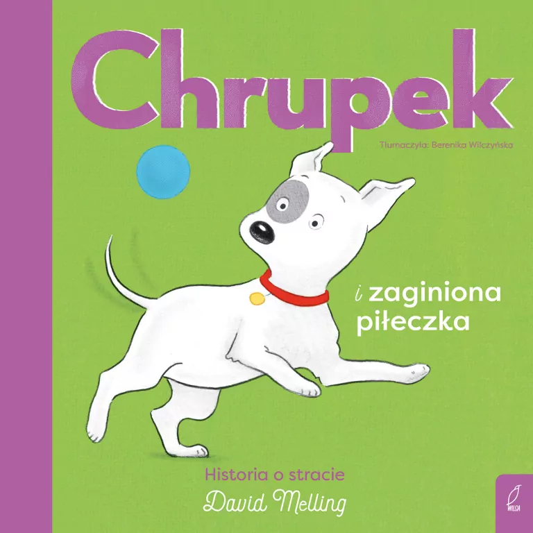 Chrupek i zaginiona piłeczka - tantis.pl