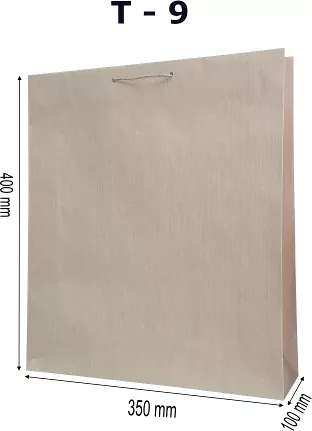 Torebki prezentowe Eko T9 10 sztuk - tantis.pl