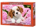 Puzzle 500. Pup in Pink Flowers. Szczeniak w różowych pąkach - tantis.pl